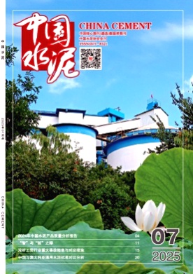 中国水泥杂志
